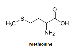 Метионин какая аминокислота. Метионин формула химическая. Метионин структурная формула. Метионин структурная. Химическая структура метионин.