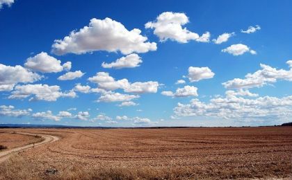 Дума приняла закон о мониторинге земель сельхозназначения