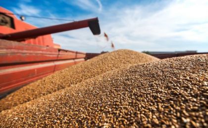 Рост цен на зерно не будет длиться вечно, считают экономисты